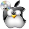 DVD Ripping With Mencoder